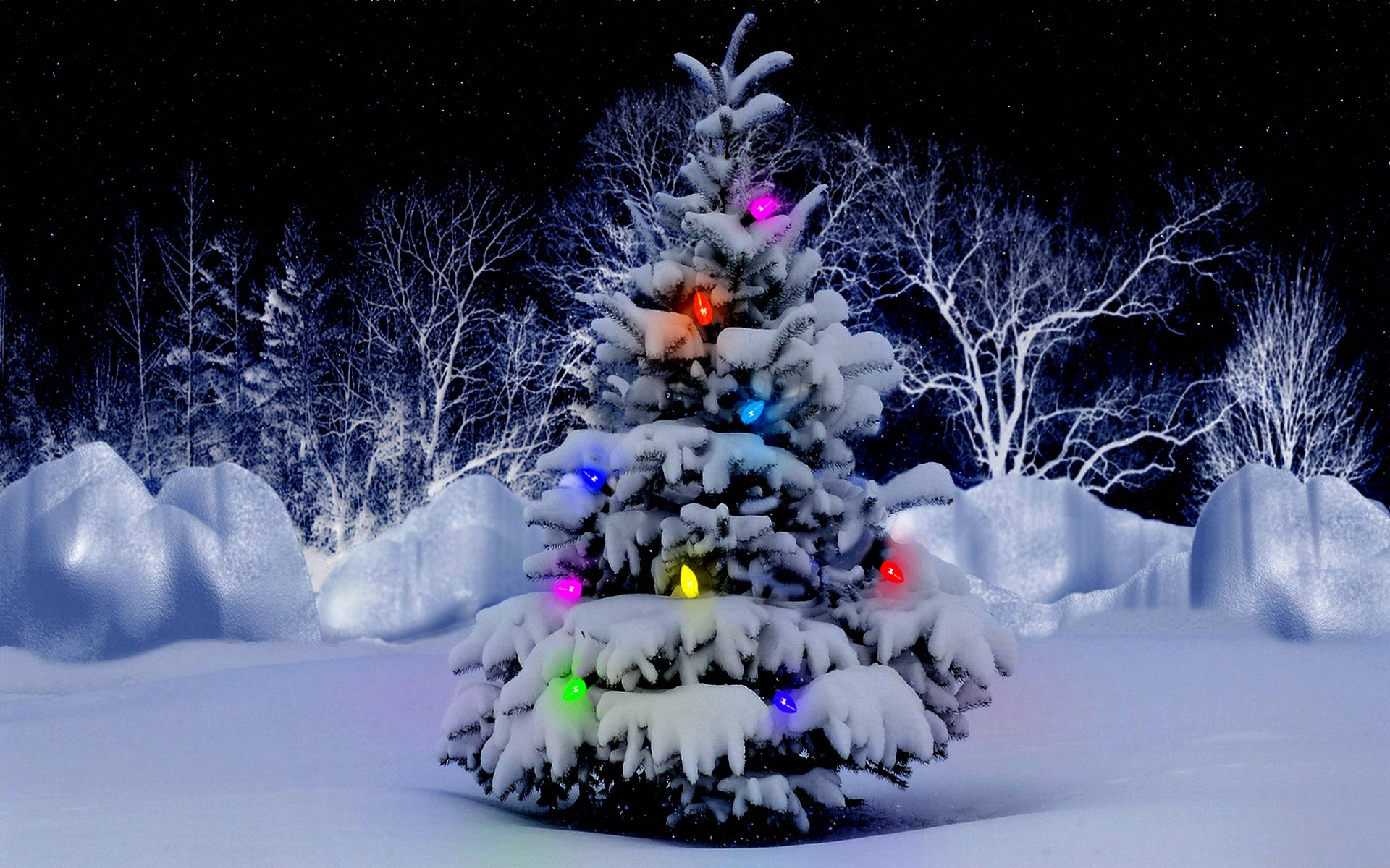 Image Newletter